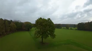 Dji avata flight + CRASH!