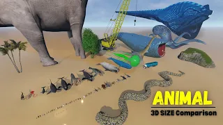 3D Size Comparison of Animals 2024: Bloop vs El Gran Maja 🐊🐆🐢🐫🐎🐝 The Bloop Monster 👾