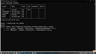 How to create database and insert values in MySQL command line.