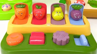 Learn Colors, Numbers & Fruits with Garden Pop Up Pals Toys Learning Video for Toddlers!