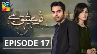 Tu Ishq Hai Episode #17 HUM TV Drama 23 January 2019