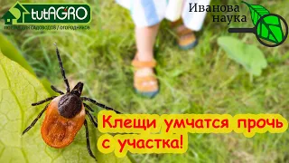 КЛЕЩИ ИСЧЕЗАЮТ СО СКОРОСТЬЮ СВЕТА! Как быстро избавиться от клещей на участке. Средство от клещей.