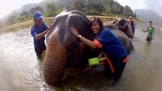GoPro: Elephant Bath in Thailand