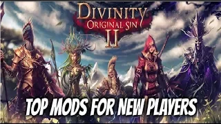 Divinity: Original Sin 2 Definitive Edition: BEST MODS for Newer Players
