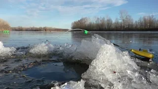 Зимняя рыбалка с отцом. Нашли место, где рыба не давала скучать. Первый лёд 2018 на реке