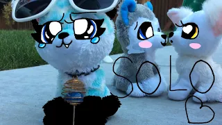 ✨Solo✨ BBMV (beanie boo music video)