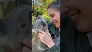 Beautiful Bond between Koala & Zookeeper 💚