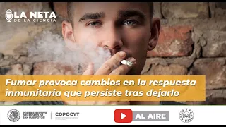 Fumar provoca cambios en la respuesta inmunitaria que persiste tras dejarlo 🚬🚬🚬