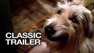 Because of Winn-Dixie (2005) Official Trailer #1 - Jeff Daniels Movie HD