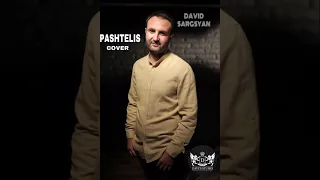 DAVES STUDIO - PASHTELIS cover