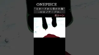 【ワンピース】"ミホークから受けた傷"-ロロノア・ゾロ- #onepiece #shorts #anime