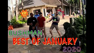 BUSHMAN BEST OF JANUARY 2020