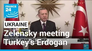 Zelensky meeting Turkey's Erdogan to push Ukraine NATO goals • FRANCE 24 English