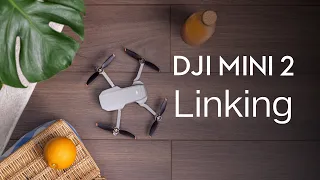 DJI Mini 2 | How to Link the Remote Controller