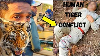 Wildlife | Tiger & Elephant Encounter | Bandhavgarh National Park | Tiger Attack Survivor