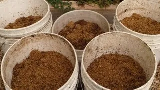 Spent Brewery Grains: A New Free Resource For Our Compost