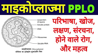 माइकोप्लाज्मा क्या है | माइकोप्लाज्मा के लक्षण, रोग, महत्व | mycoplasma in hindi | cell structure