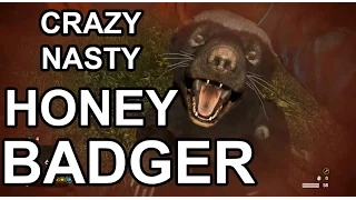 Far Cry 4 - The Honey Badger