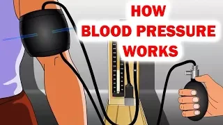 How Blood Pressure Works Animation | Sphygmomanometer | Blood Pressure