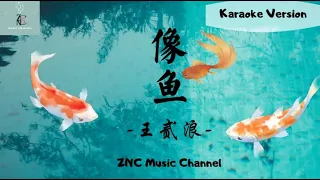 Karaoke Version  王贰浪- 像鱼