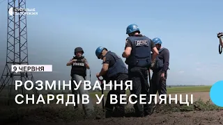 У селі на Запоріжжі рятувальники ліквідували вибухівку окупаційної армії РФ | Новини