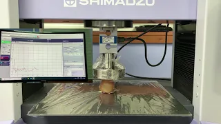 How strong the Egg is - Egg Compression Testing - Shimadzu Autograph AGSX Universal Test Systems