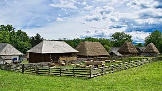 Njerka ma kapi medor kur sishte Babai