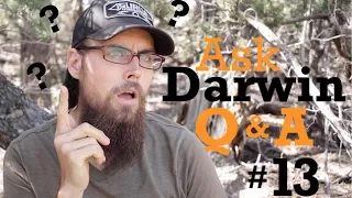 Ask Darwin Q&A #13 (Answers!)