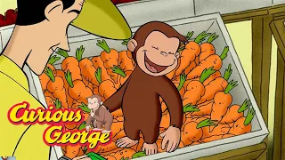 Where do vegetables come from? 🐵 Curious George 🐵 Kids Cartoon