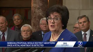 Senator introduces fetal heartbeat abortion bill