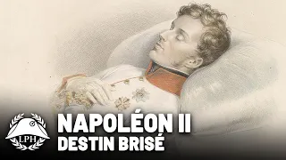 Le destin brisé de l'Aiglon - La petite Histoire - TVL