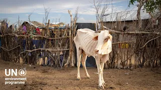 #climatechange Inger Andersen calls for international action as Kenyan drought deepens