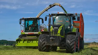 Claas Jaguar 950 im Einsatz | Erster Schnitt 2022 || Landwirtschaft in Dithmarschen