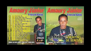 AMAURY JUNIOR VOL.01 cd completo