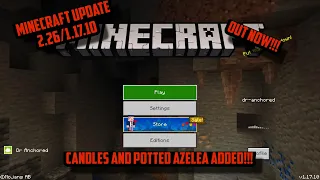 MINECRAFT 2.26/1.17.10 UPDATE OUT NOW!!!