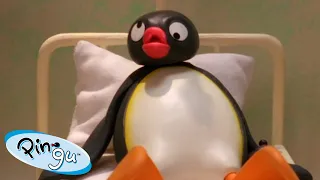 Pingu Learns His Lesson 🐧 | Pingu - Official Channel | Cartoons For Kids