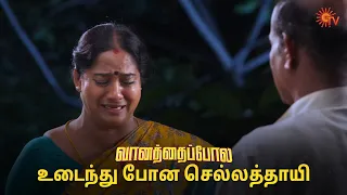 ஏன் எல்லாருமே தப்பான முடிவு எடுக்குறீங்க? 🥺 Vanathai Pola - Semma Scenes | 31 May 2024 | Sun TV