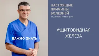 Болезни щитовидной железы: АИТ, гипотиреоз, гипертиреоз, плохие анализы