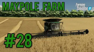 Back In The Field! || Maypole Farm #28 || FS22 || Timelapse