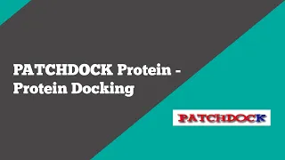 Bioinformatics: Patchdock Protein Protein Docking | BioCode Ltd