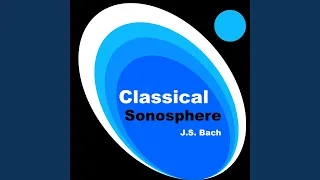 J.S. Bach: Partita No. 6 In E Minor, BWV 830 - 4. Air