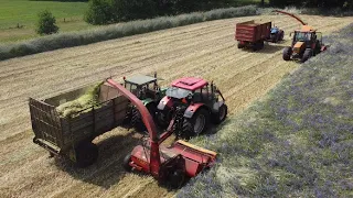 Chopping rye mixture