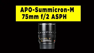 Leica APO-Summicron-M 75mm f/2 ASPH Review - Photography PX