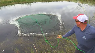 Cast Netting 1000’s of fish!!! {How To Castnet}