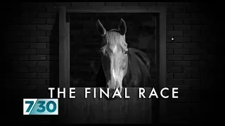 The dark side of Australia's horse racing industry | 7.30