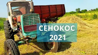 СЕНОКОС 2021!!! ПЕРЕВОЗИМ СЕНО НА ЮМЗ-6!!! ЕДУ НА МОРЕ)))