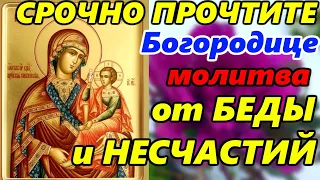 СИЛЬНАЯ МОЛИТВА Шуйской Смоленской Иконе Божией Матери Одигитрия от БЕДЫ И НЕСЧАСТИЙ