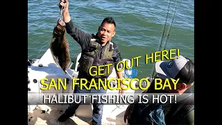 Halibut Fishing San Francisco 2024 Just A Little Bit Rusty