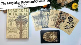 Обзор Magickal Botanical Oracle (Магический Ботанический Оракул) Lo Scarabeo. Review, flip through