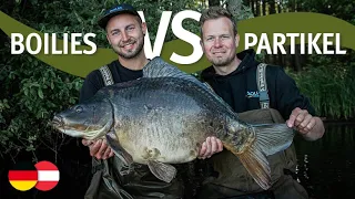 Boilies VS Partikel - mit Klaus Wegmann & Kai Köttelwesch | Karpfenangeln | Mais | Hanf | Tigernüsse